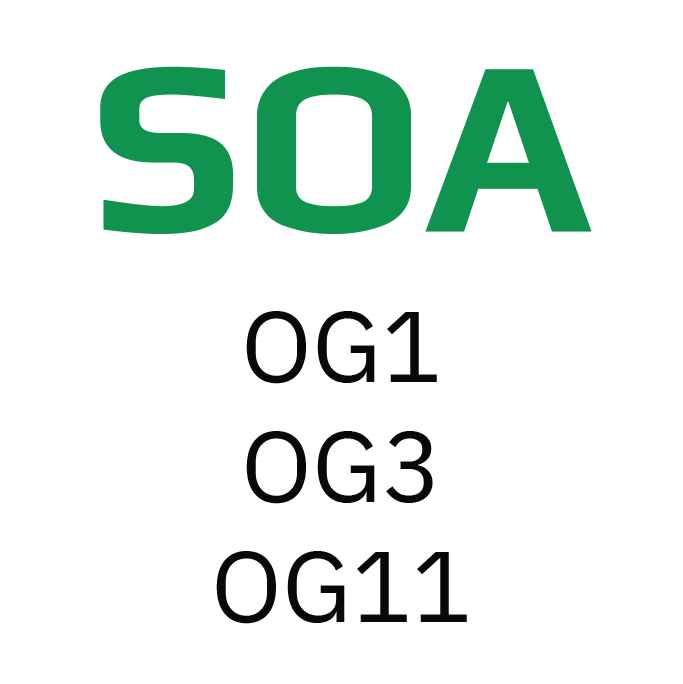 Logo SOA